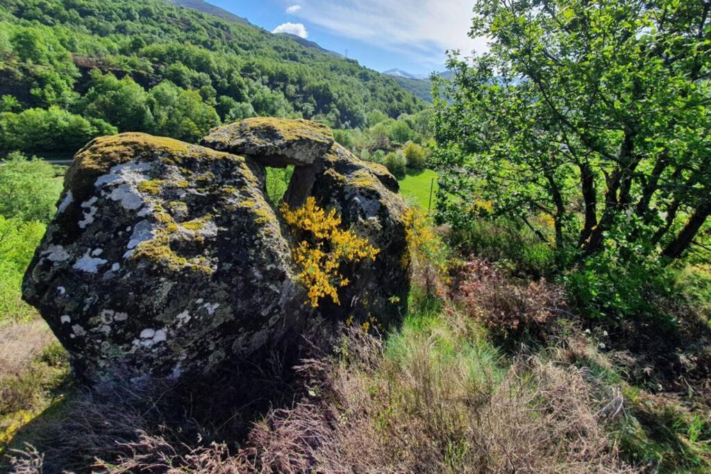 Maison Au Coeur Des Pyrenees Perles-et-Castelet Buitenkant foto